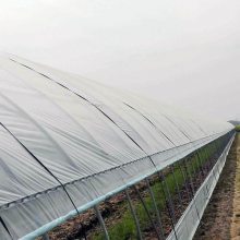 薄膜蔬菜大棚 昱泰温室一站式服务的创新与实践