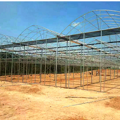 连动薄膜大棚 温室蔬菜大棚 大棚建设安装